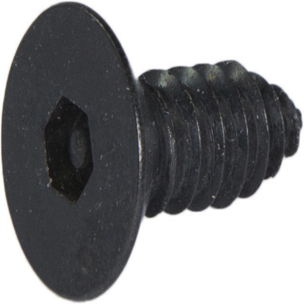 10 x 3/4 Tamper Resistant Hex Flat Head Socket Sheet Metal Screw Steel Black (5/32)