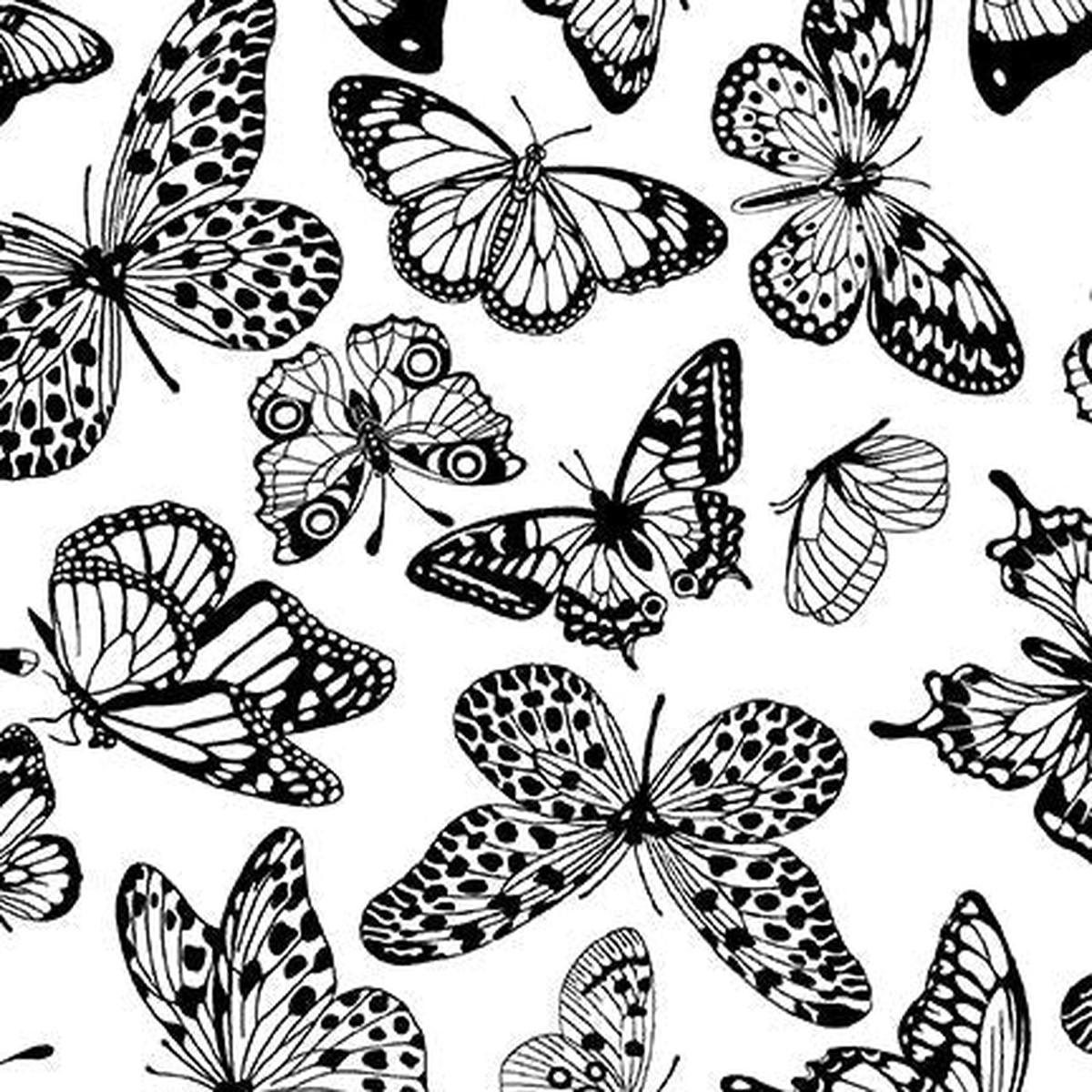 Butterfly All or Nothing for Studio e (14 yard)