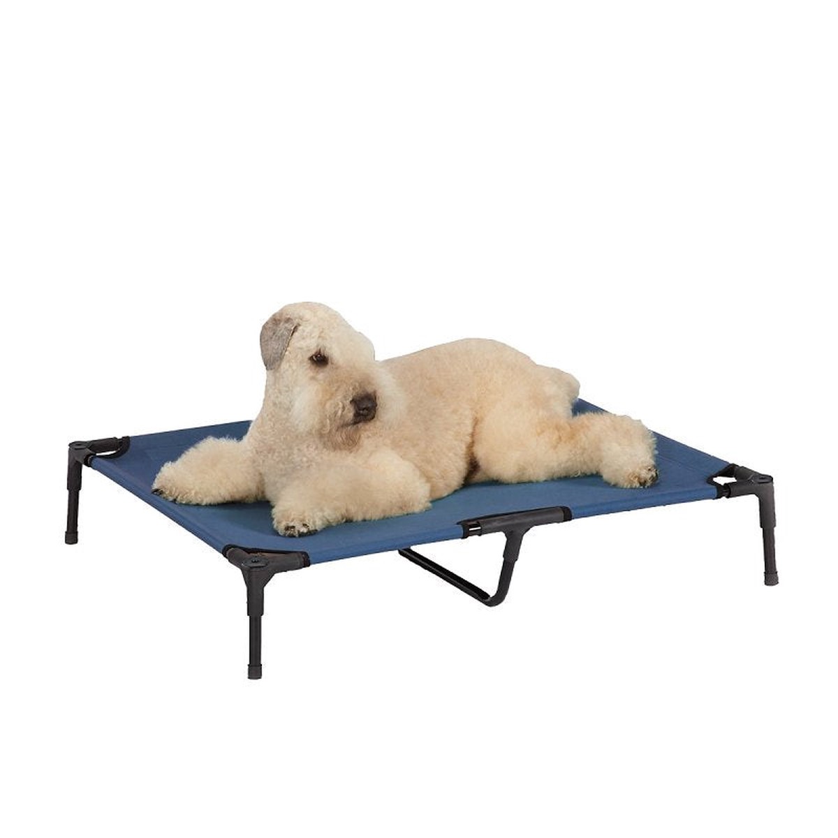 Guardian Gear ZW9023 20 19 Pet Cot 36 in L 30 in W Polyester Cover Blue